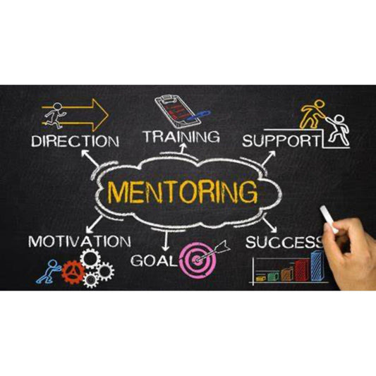 Monthly Subscription for Mentoring/Coaching